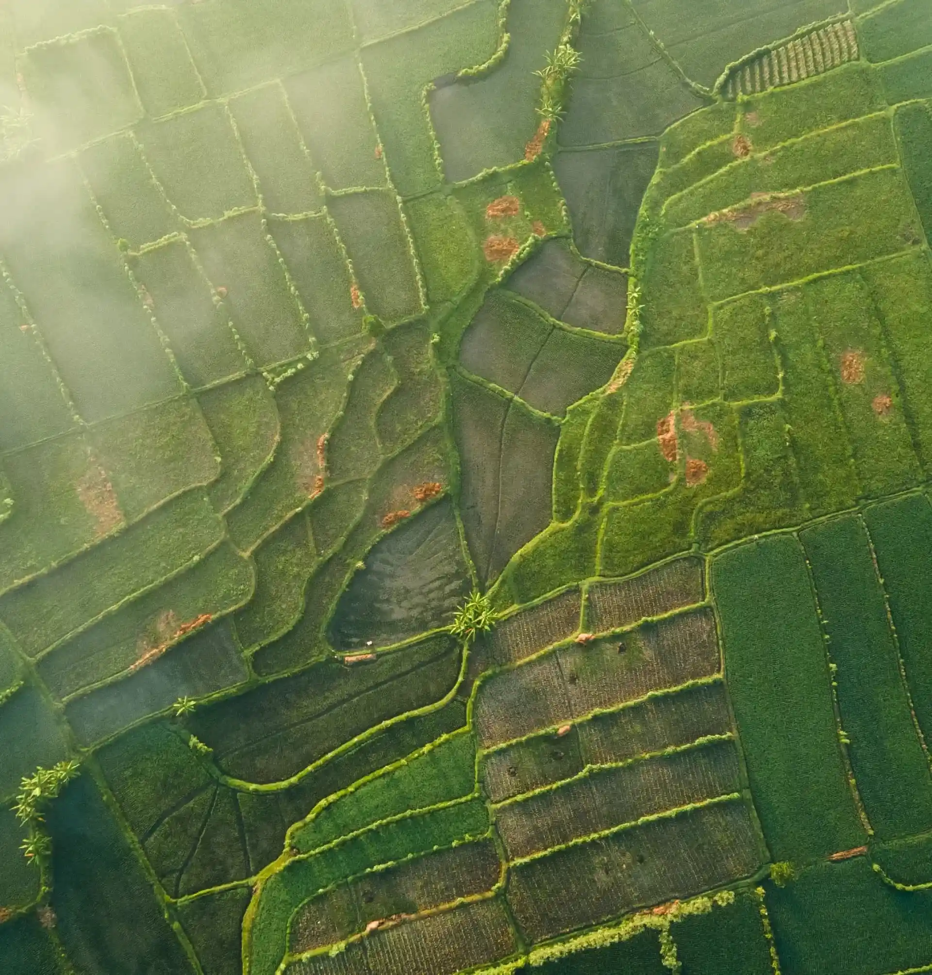 Mahindra Group -  Aerial View Agricultural Land