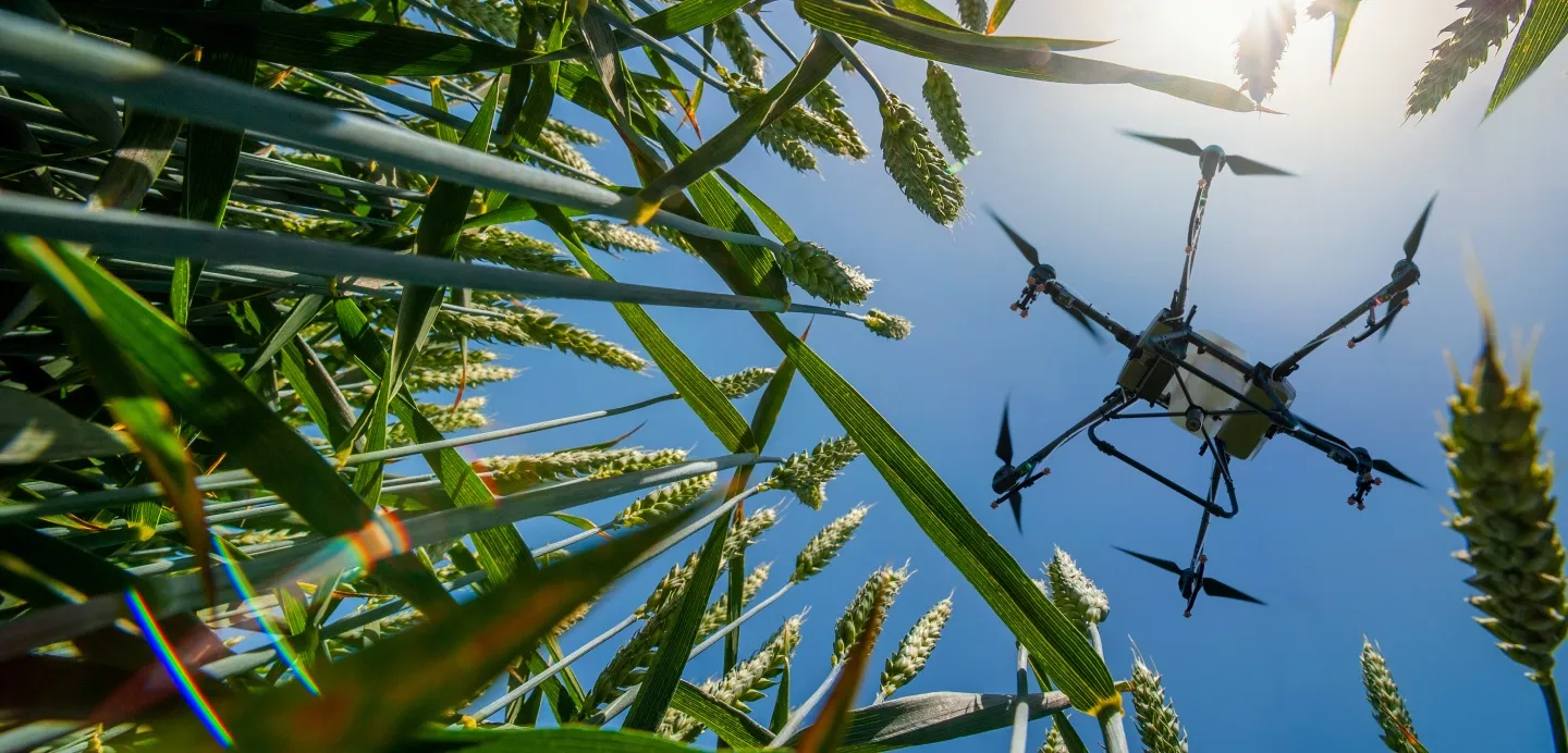 Mahindra Group - Innovative Agricultural Ecosystem