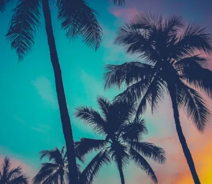 Club Mahindra Leads with Inclusion: Transitions Acacia Palms in Goa into an  All-Women-Run Resort
